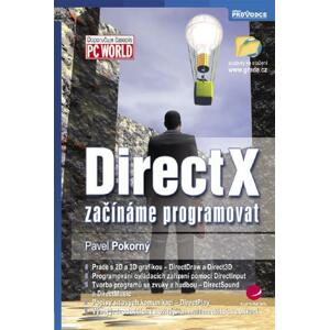 DirectX: začínáme programovat - Pavel Pokorný [E-kniha]