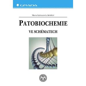 Patobiochemie: Ve schématech - Marta Kalousová, kolektiv a [E-kniha]