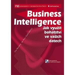 Business Intelligence: Jak využít bohatství ve vašich datech - David Slánský, Jan Pour, Ota Novotný [E-kniha]