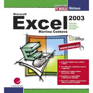 Excel 2003: podrobný průvodce začínajícího uživatele - Martina Češková [E-kniha]