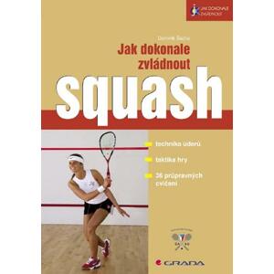 Jak dokonale zvládnout squash - Dominik Šácha [E-kniha]