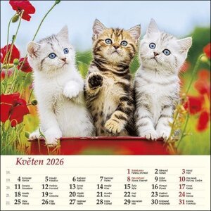 Kočky 2026 - nástěnný kalendář -  Autor Neuveden