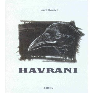 Havrani - Pavel Houser [E-kniha]